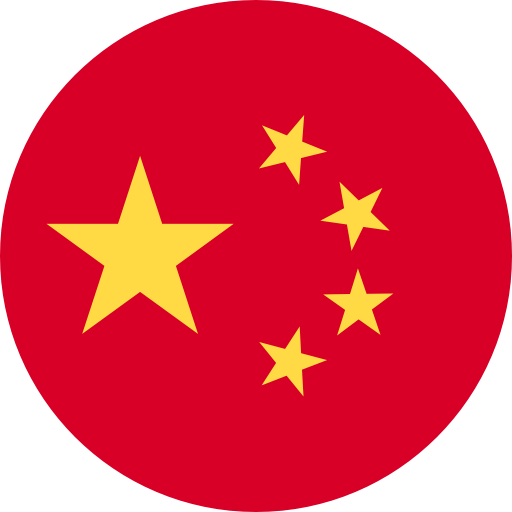 中文 - 中国